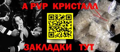 гашик Кингисепп