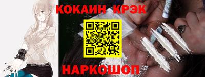 гашик Кингисепп