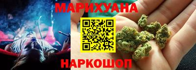гашик Кингисепп