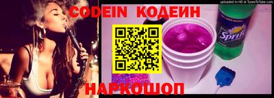 гашик Кингисепп