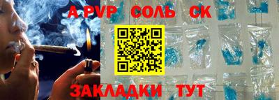 гашик Кингисепп