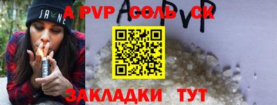 гашик Кингисепп